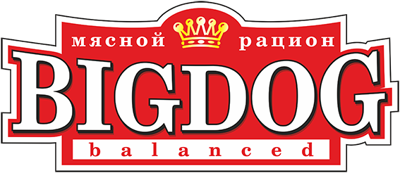 Логотип Big Dog