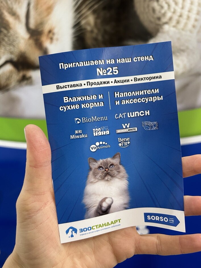 msg1114732463-242538.jpg